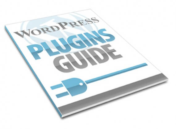 viet wordpress plugins
