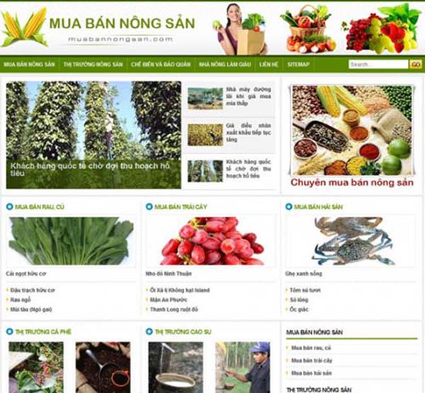 thiết kế web bán nông sản sạch