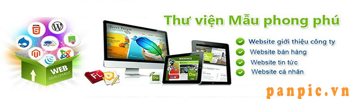 Làm website quận Bình Thạnh – thiết kế web Panpic