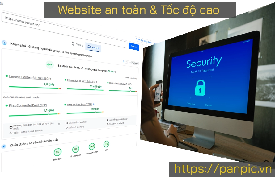 Panpic có phù hợp cho doanh nghiệp cần website an toàn và tốc độ cao không