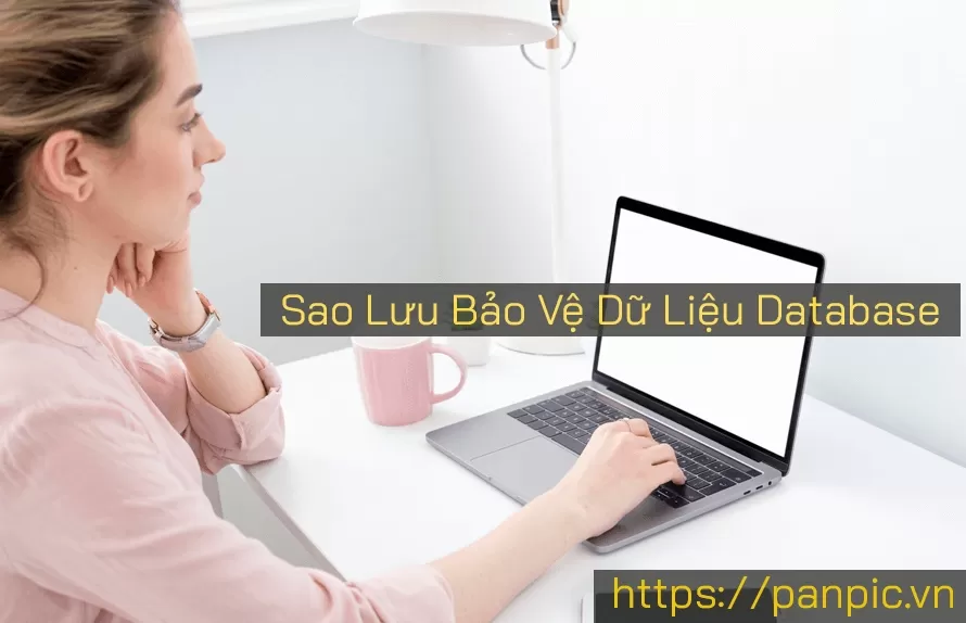 Giải pháp sao lưu bảo vệ dữ liệu database